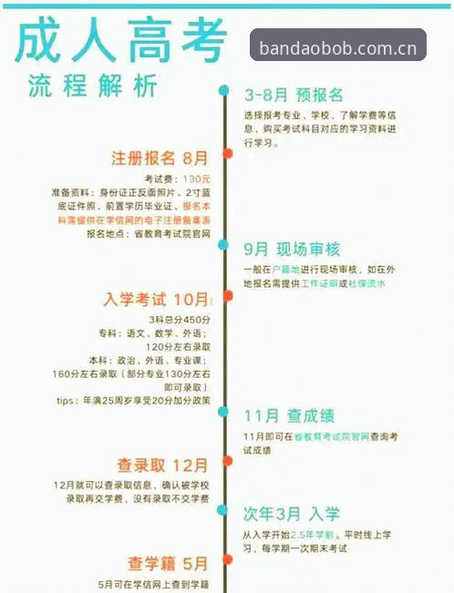 半岛体育官网新手入门指南：从下载到使用的全流程详解
