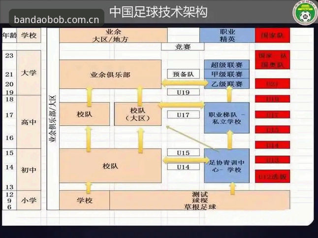 资深用户分享：在中国足球禁足风暴中，如何通过半岛体育官网深度解读行业变革